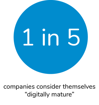Digital Transformation Company Statistics