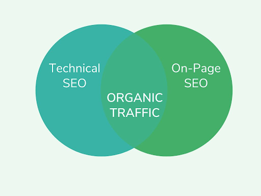 organic seo types