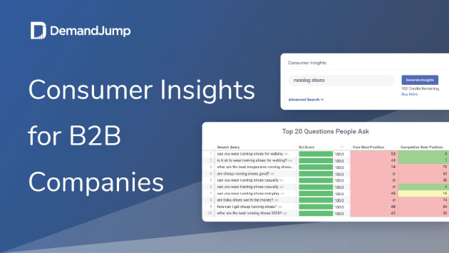 Consumer Insights for B2B Companies